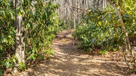 517 Joshs Trail Cashiers NC 28717