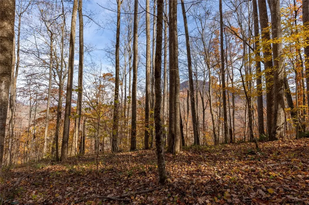 107 Vistawilla Drive Glenville NC 28736
