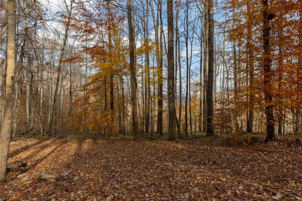 107 Vistawilla Drive Glenville NC 28736