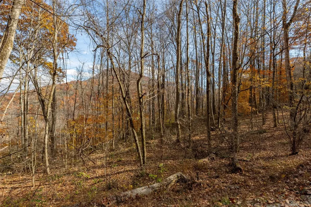 107 Vistawilla Drive Glenville NC 28736