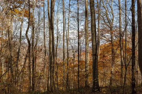 107 Vistawilla Drive Glenville NC 28736