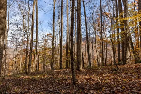 107 Vistawilla Drive Glenville NC 28736