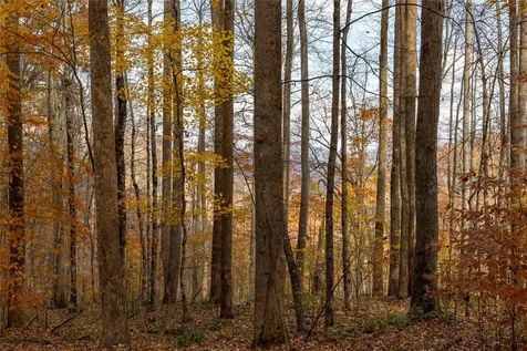 107 Vistawilla Drive Glenville NC 28736