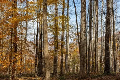 107 Vistawilla Drive Glenville NC 28736