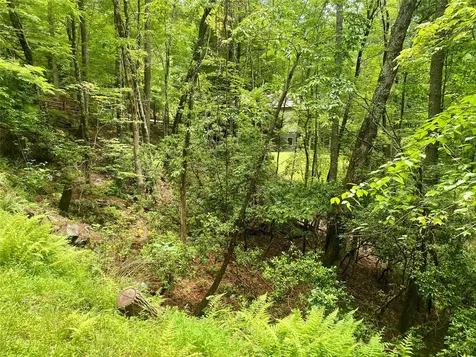 40 Ivy Court Sapphire NC 28774