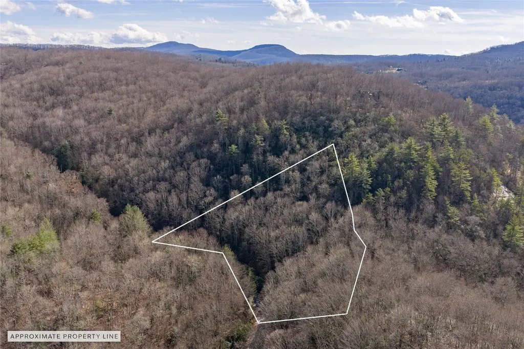 Lt D64 Rye Mountain Drive Glenville NC 28736