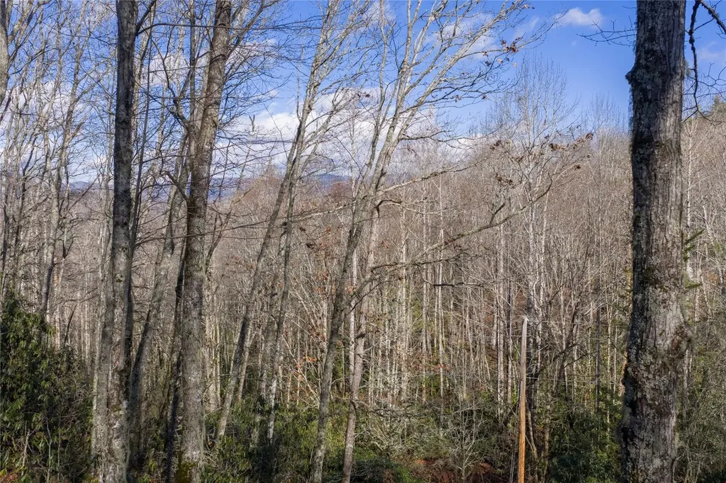 Lt D64 Rye Mountain Drive Glenville NC 28736