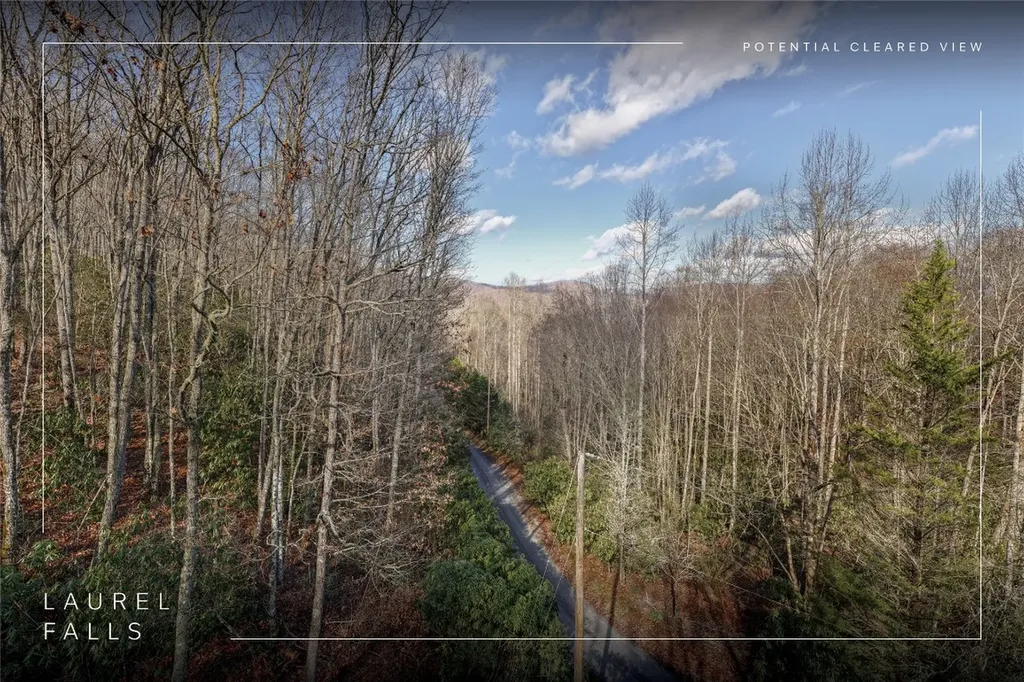 Lt D64 Rye Mountain Drive Glenville NC 28736