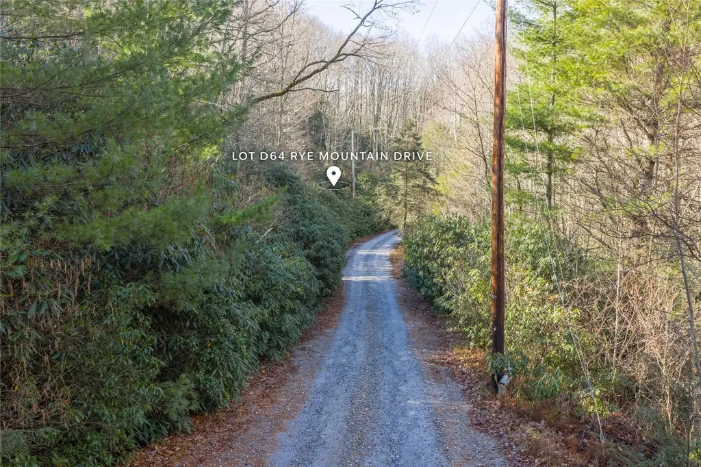 Lt D64 Rye Mountain Drive Glenville NC 28736