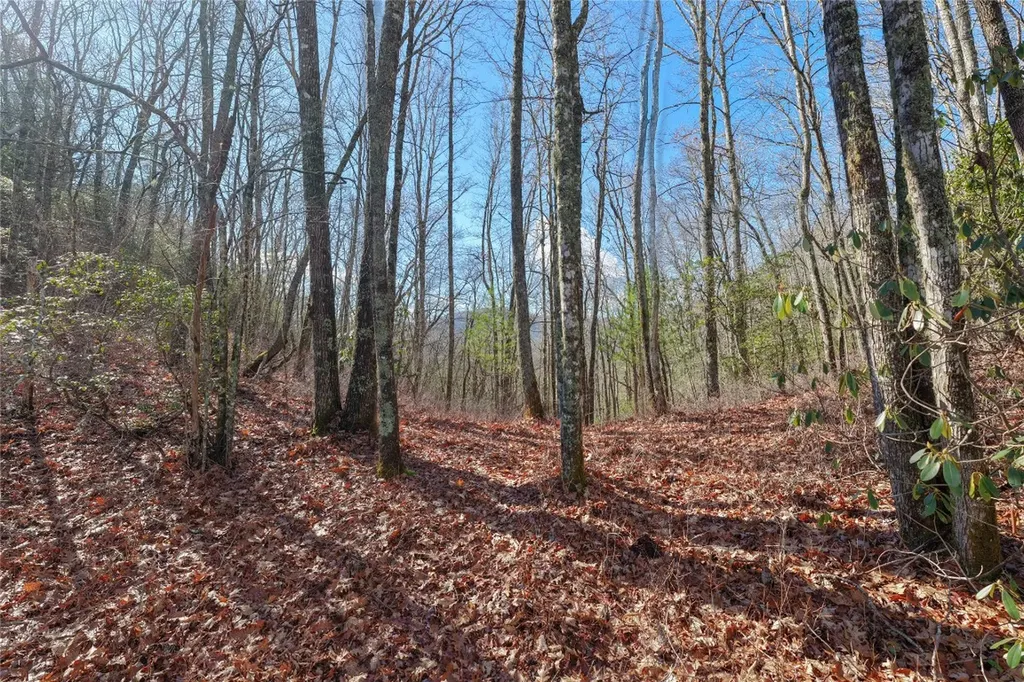 Lt D64 Rye Mountain Drive Glenville NC 28736