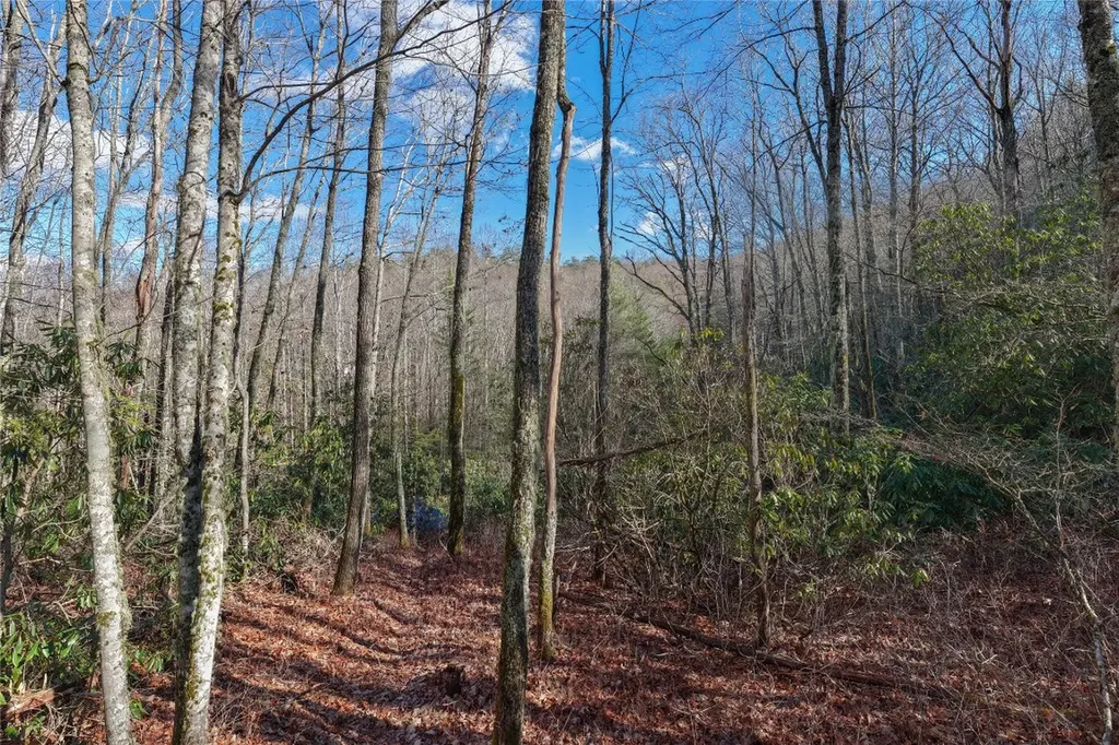 Lt D64 Rye Mountain Drive Glenville NC 28736