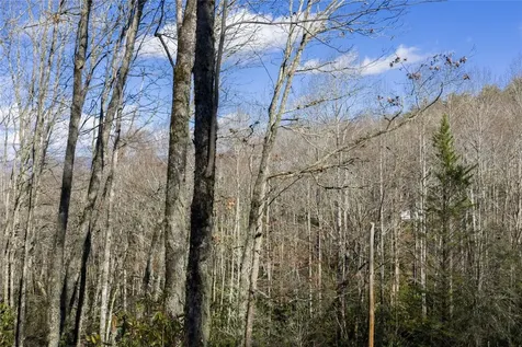 Lt D64 Rye Mountain Drive Glenville NC 28736