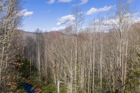 Lt D64 Rye Mountain Drive Glenville NC 28736