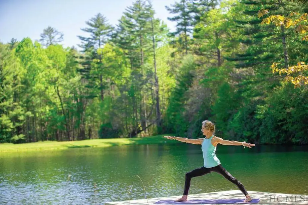 Lot Md-7 Silver Run Road Cashiers NC 28717