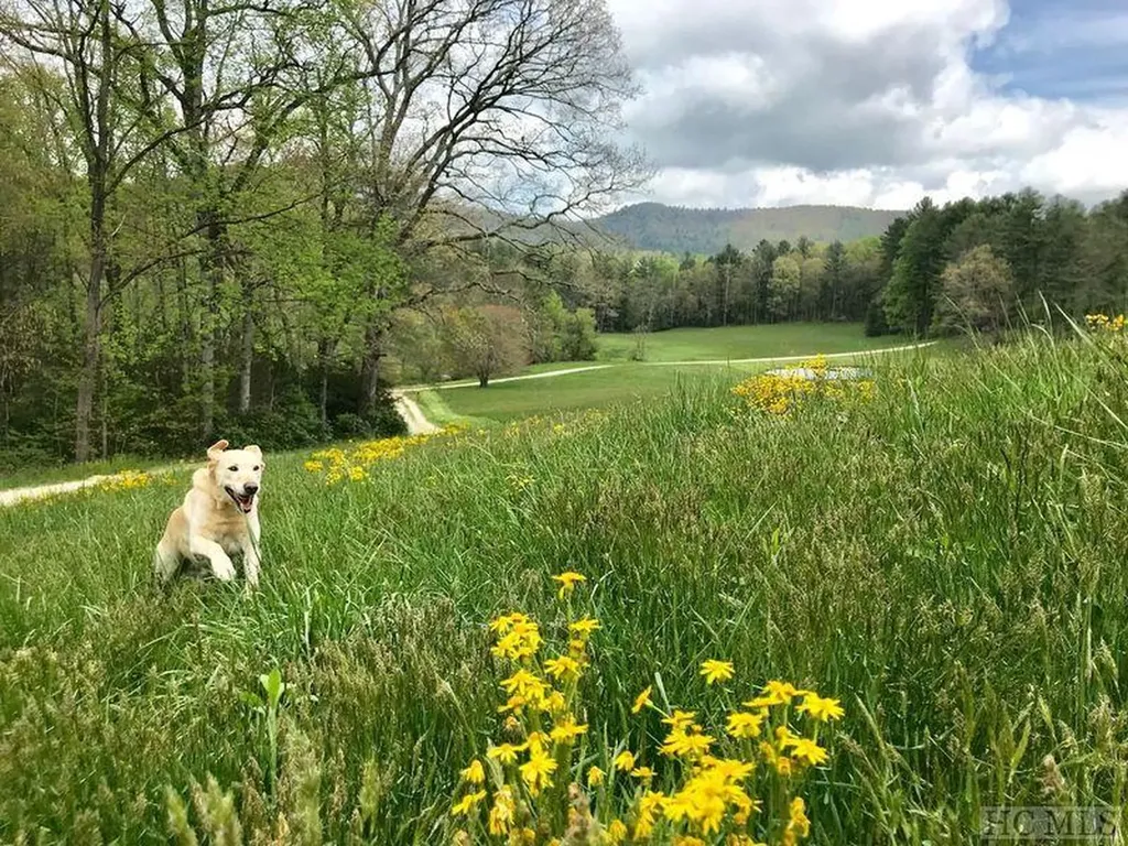 Lot Md-7 Silver Run Road Cashiers NC 28717