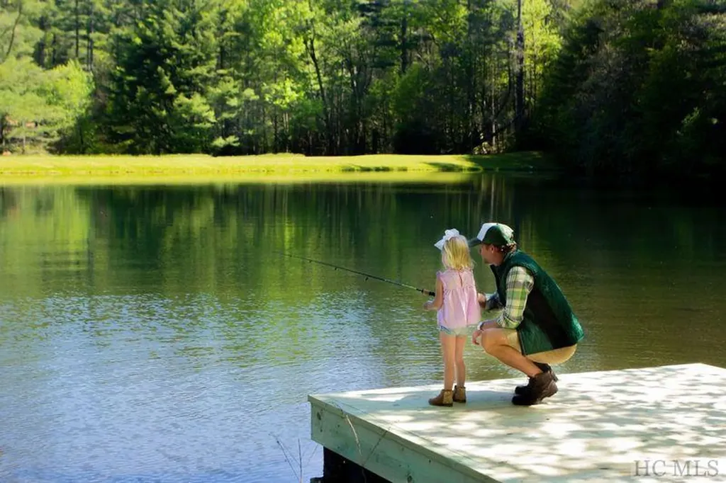 Lot Md-7 Silver Run Road Cashiers NC 28717