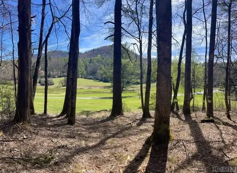 Lot Md-7 Silver Run Road Cashiers NC 28717