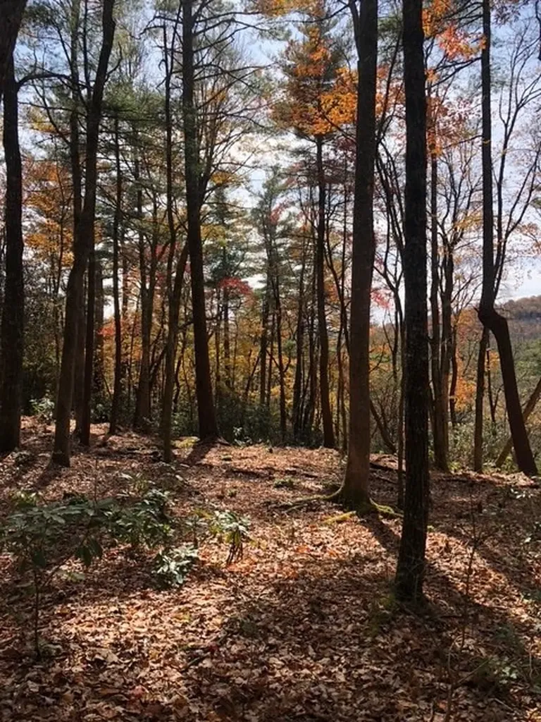 111 Uplands Road Cashiers NC 28717