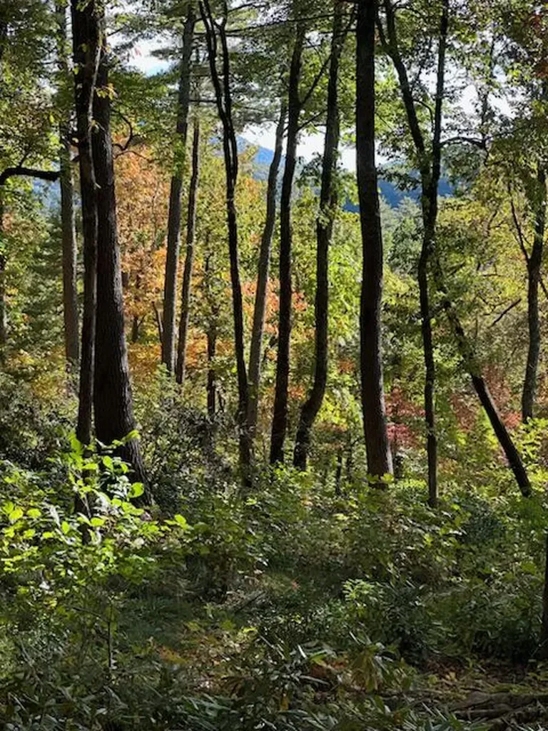 111 Uplands Road Cashiers NC 28717