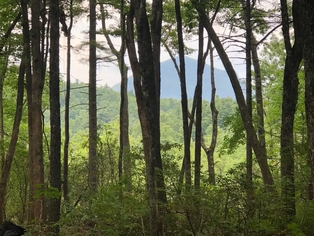 111 Uplands Road Cashiers NC 28717