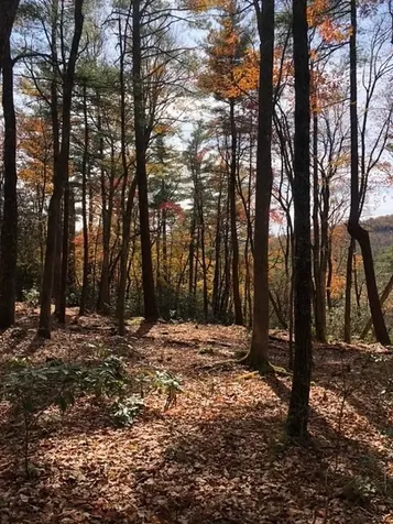 111 Uplands Road Cashiers NC 28717