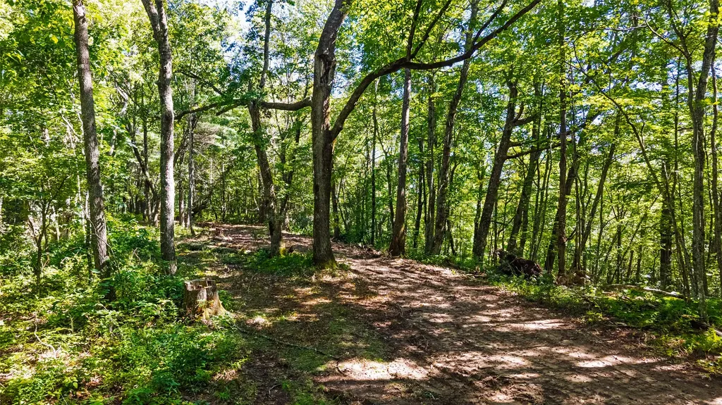 Tbd N Highway 107 Glenville NC 28736