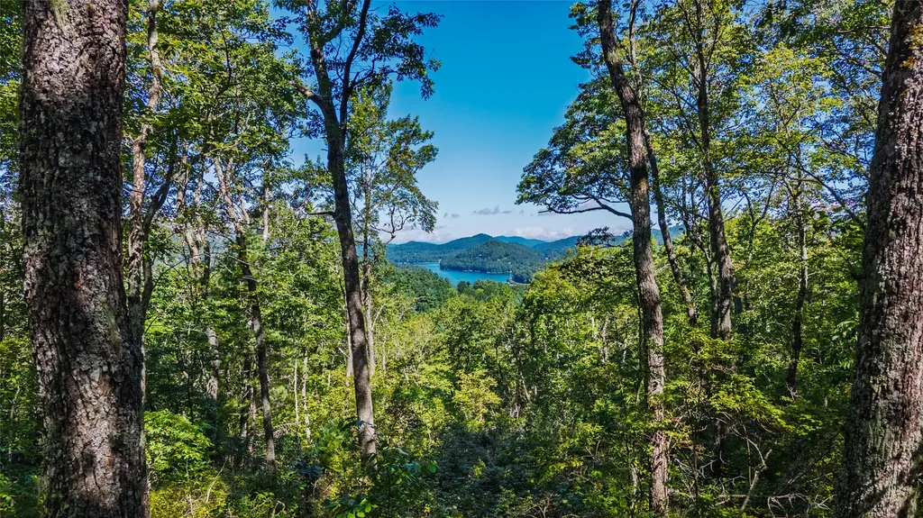 Tbd N Highway 107 Glenville NC 28736