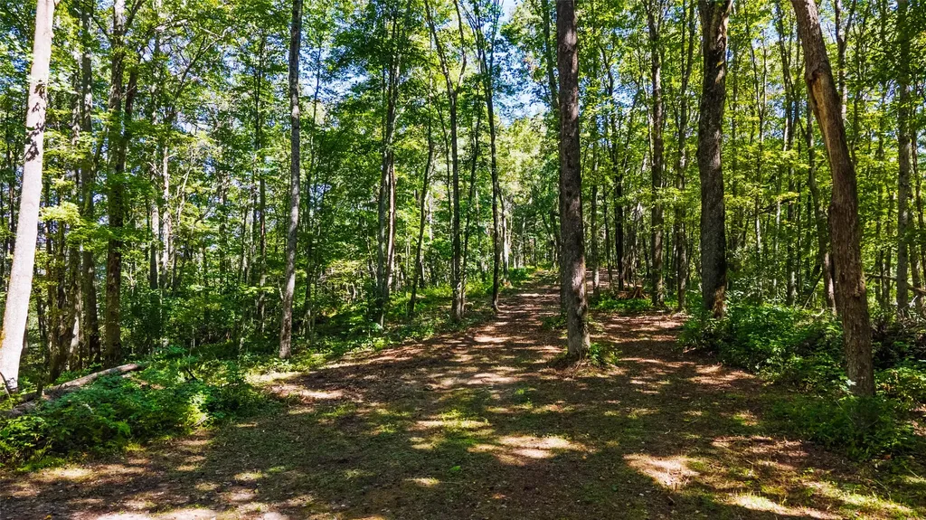 Tbd N Highway 107 Glenville NC 28736