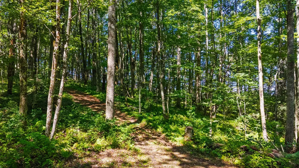 Tbd N Highway 107 Glenville NC 28736