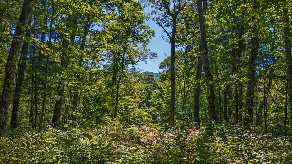 Tbd N Highway 107 Glenville NC 28736