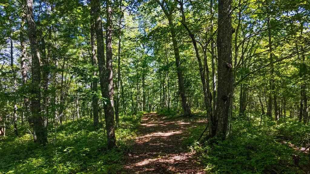 Tbd N Highway 107 Glenville NC 28736