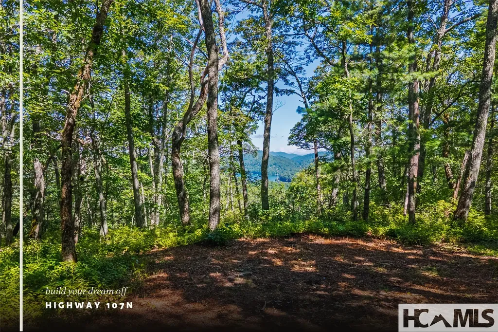 Tbd N Highway 107 Glenville NC 28736