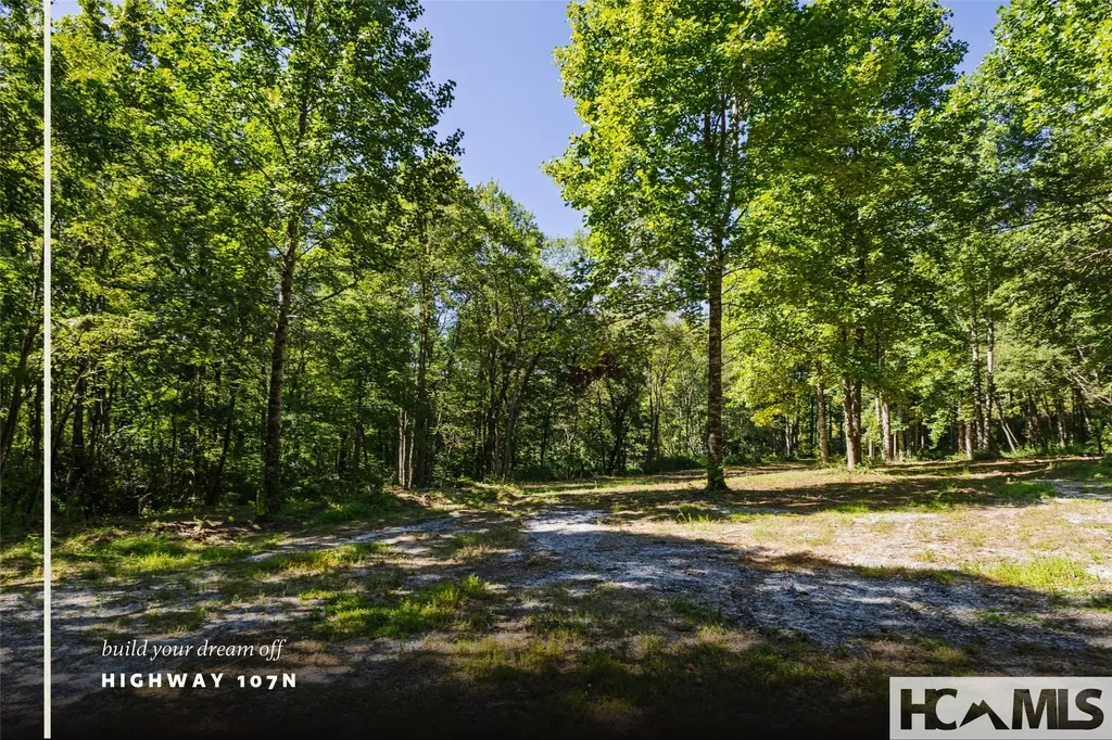 Tbd N Highway 107 Glenville NC 28736