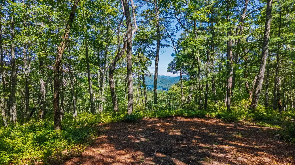 Tbd N Highway 107 Glenville NC 28736