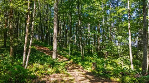 Tbd N Highway 107 Glenville NC 28736