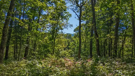 Tbd N Highway 107 Glenville NC 28736