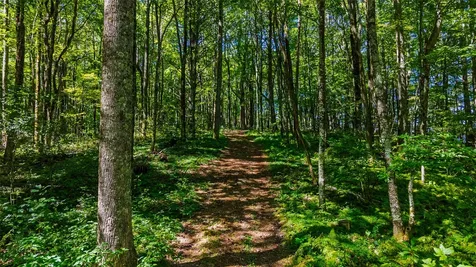 Tbd N Highway 107 Glenville NC 28736