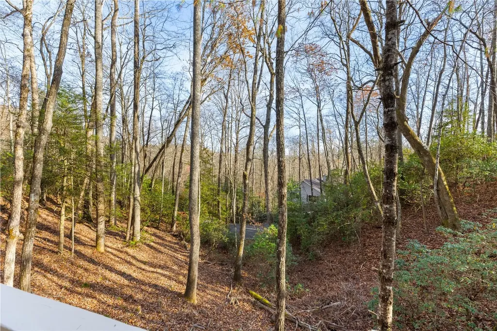 223 Sourwood Court Sapphire NC 28774