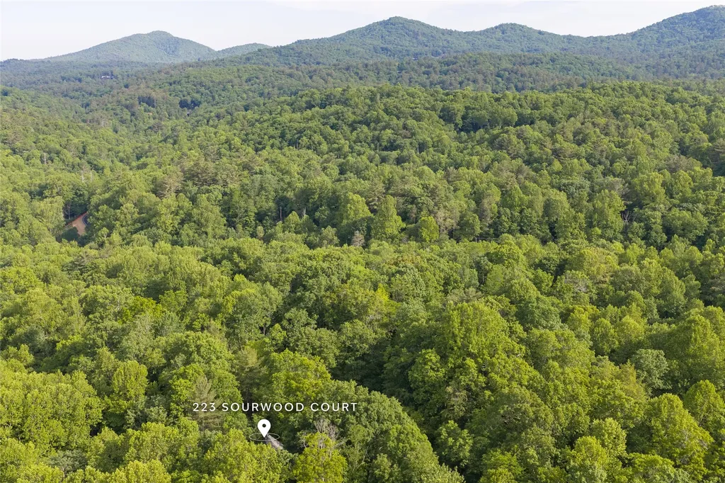 223 Sourwood Court Sapphire NC 28774