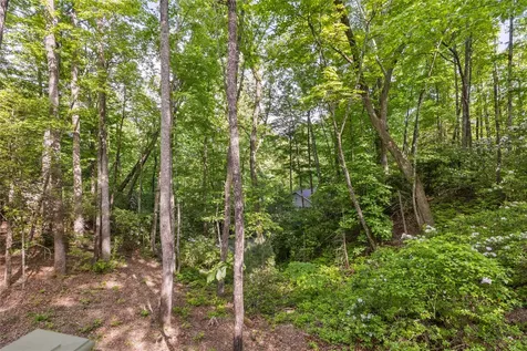223 Sourwood Court Sapphire NC 28774