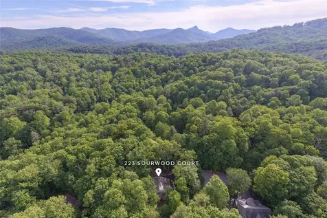 223 Sourwood Court Sapphire NC 28774