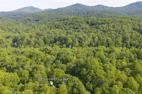 223 Sourwood Court Sapphire NC 28774