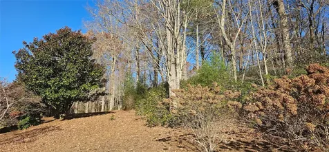 L002R Seminole Way Lake Toxaway NC 28747