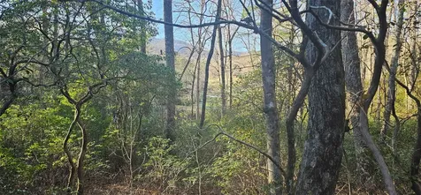 L002R Seminole Way Lake Toxaway NC 28747