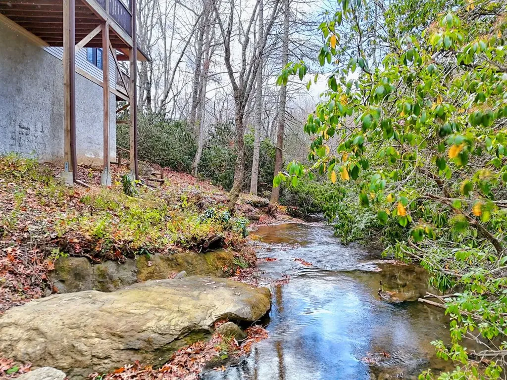 7829 Dillard Road Scaly Mountain NC 28775