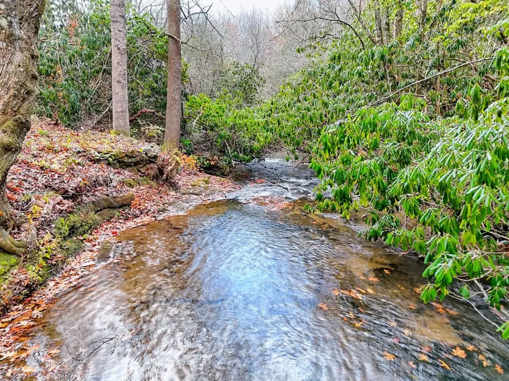 7829 Dillard Road Scaly Mountain NC 28775