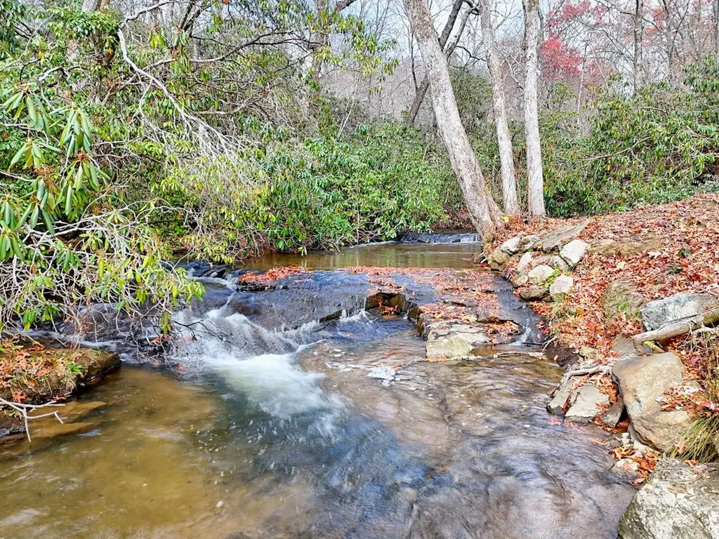 7829 Dillard Road Scaly Mountain NC 28775