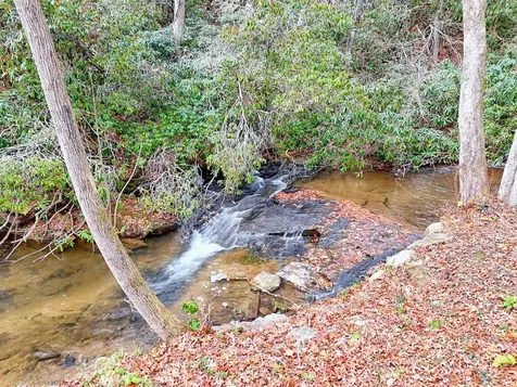 7829 Dillard Road Scaly Mountain NC 28775