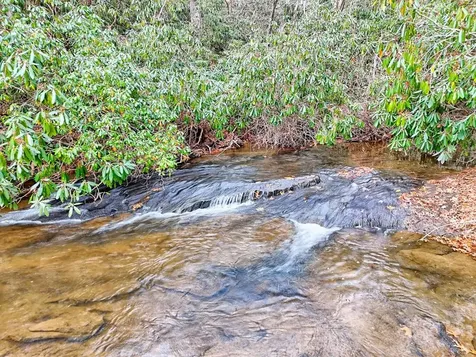 7829 Dillard Road Scaly Mountain NC 28775