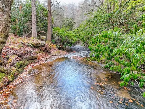 7829 Dillard Road Scaly Mountain NC 28775